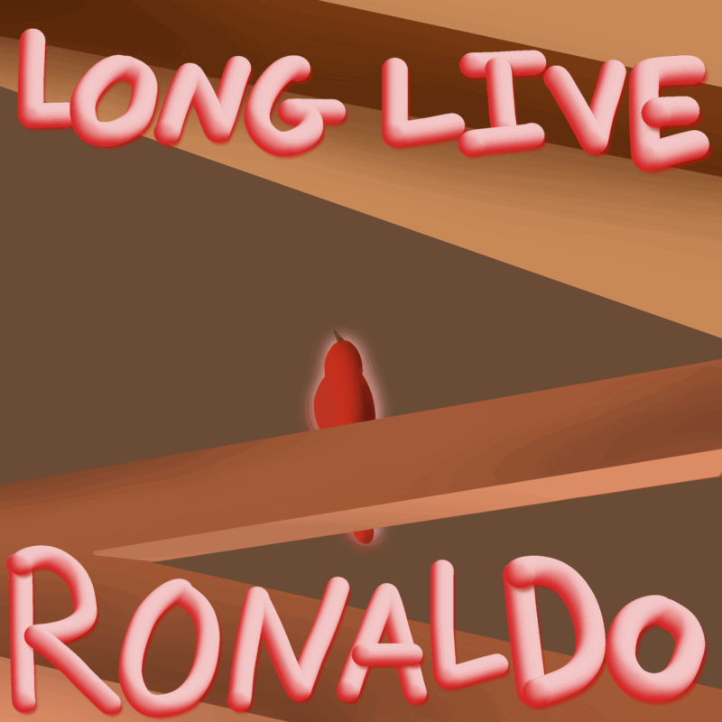 Ronaldo the bird