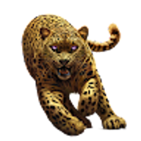 Commenters avatar