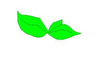 Commenters avatar