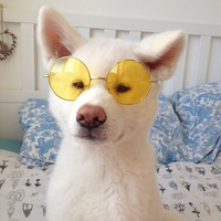 Commenters avatar