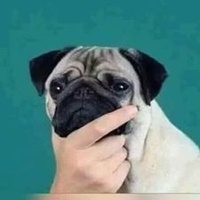 Commenters avatar