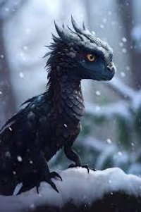 Commenters avatar