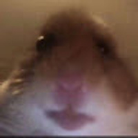 Commenters avatar