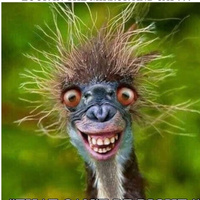 Commenters avatar