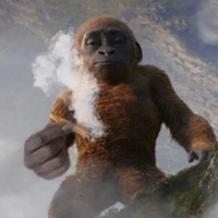 Commenters avatar