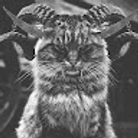 Commenters avatar
